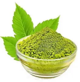 Mehndi Powder 100G